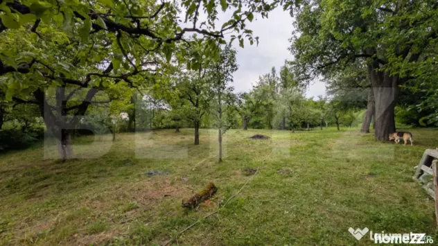 Oferta de pret! Casa individuala, 85 mp, zona Malu cu Flori, - Malu Cu Flori (Dambovita)