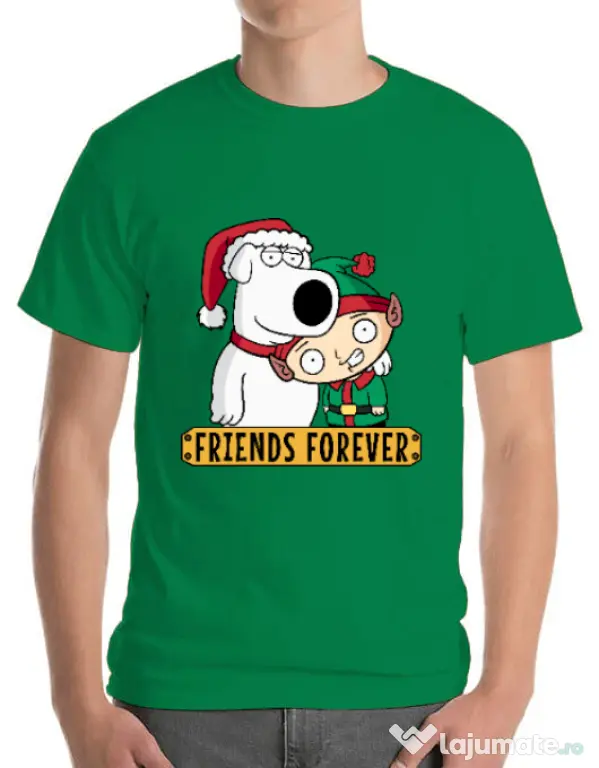 Tricou ADLER barbat Friends forever Verde mediu