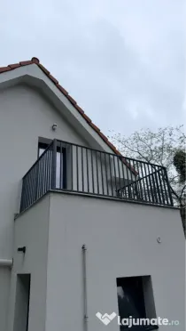 Balustrade inox si fier forjat