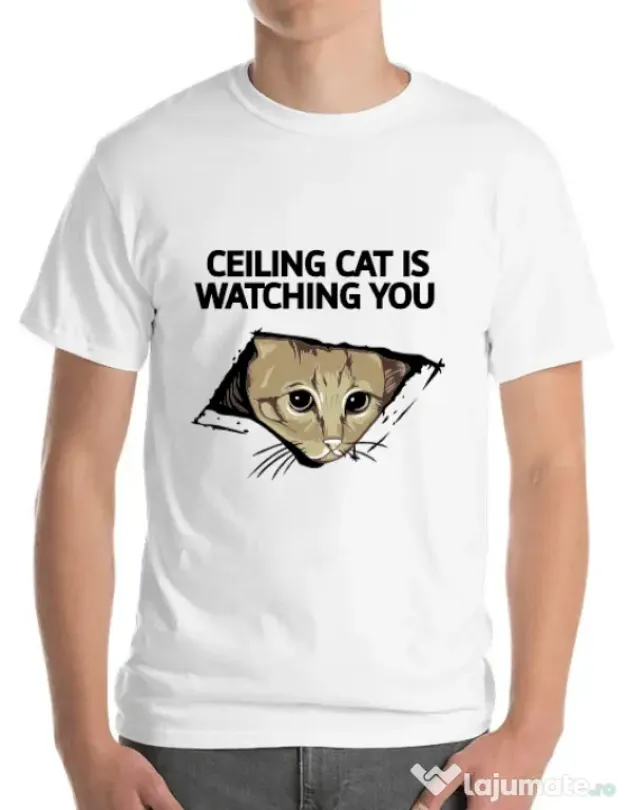 Tricou ADLER barbat Ceiling cat Alb