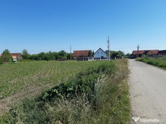 Vand teren intravilan construibil utilitati asfalt central Lunca Calnicului 5000mp