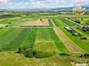 Oportunitate de investitie, PUZ aprobat: zona servicii
