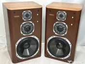 Yamaha NS-2000