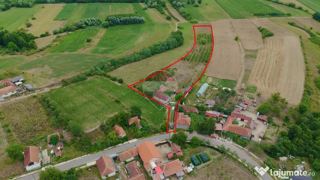 Casă cu 3 camere, complet renovată, teren 8.788 mp, For...