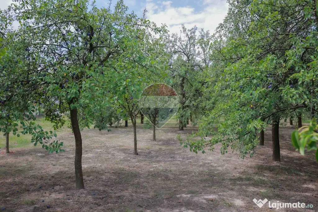 Casă cu 3 camere, complet renovată, teren 8.788 mp, For...