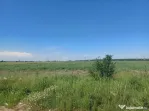Teren intravilan, 12000 mp, Ciorogarla, jud. Ilfov