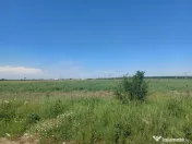 Teren intravilan, 12000 mp, Ciorogarla, jud. Ilfov 
