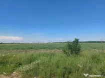 Teren intravilan, 12000 mp, Ciorogarla, jud. Ilfov