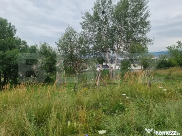 Teren 4.000 mp cu priveliște spre oraș, zonă liniștită, - Bistrita (Bistrita-Nasaud)
