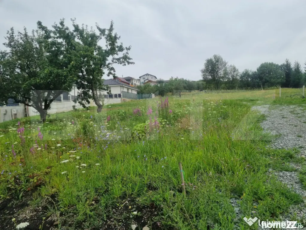 Teren 4.000 mp cu priveliște spre oraș, zonă liniștită, - Bistrita (Bistrita-Nasaud)