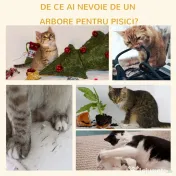 Stâlp de Zgâriat Multifuncțional PawHut, Coloană în Sisal și Pernă Moale, Miel Casmir, 81cm | Aosom Romania