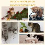 Centru de activitati PawHut cu spatiu pentru zgariat si culcus pentru pisici minge sfoara din sisal plus din lemn bej 50 x 30 x 80cm | Aosom RO 