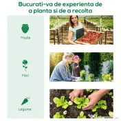 Outsunny Mini sera gradina pentru plante, sera Mica pentru Gradina pe 2 Nivele, pentru legume, fructe din PE, Verde | Aosom Romania