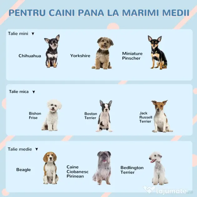 PawHut Casă Plastic pentru Caini Talie Mare Protecție Climatică Albastru 65x75.7x63cm | Aosom Romania