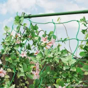 Outsunny Suport Metalic de Grădină în Forma de A cu Plasă de Susținere, 101x133x227 cm, Verde 
