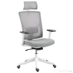 HOMCOM Scaun de Birou Ergonomic și Respirabil cu Suport Lombar Dinamic 4D, 64.5x62.5x112-122 cm, Multicolor