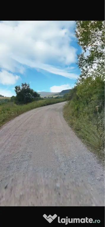 Vând teren extravilan Șoarș, Făgăraș