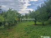 Teren intravilan 1400 mp - Albota ! 