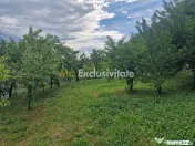 Teren intravilan 1400 mp - Albota ! 