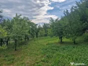 Teren intravilan 1400 mp - Albota ! 