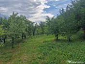 Teren intravilan 1400 mp - Albota ! 