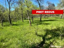 Teren intravilan, Comuna Corbi, Jud. Argeș, toarte utili...