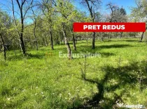 Teren intravilan, Comuna Corbi, Jud. Argeș, toarte utili...