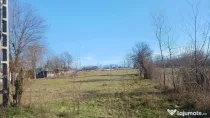 Teren intravilan 6500 mp- Gliganu de Sus - Rociu