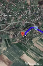 Teren intravilan 6500 mp- Gliganu de Sus - Rociu 