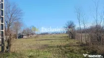 Teren intravilan 6500 mp- Gliganu de Sus - Rociu