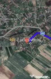 Teren intravilan 6500 mp- Gliganu de Sus - Rociu 