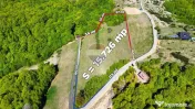 Teren de vanzare Preluca Noua, 1.5 ha, potential turistic