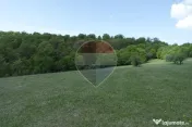 Teren de vanzare Preluca Noua, 1.5 ha, potential turistic