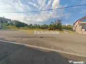 Teren intravilan 1.600 mp Mioveni – Zona Pruni