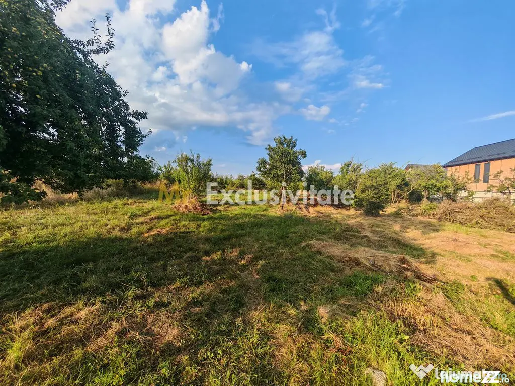 Teren intravilan 1.600 mp Mioveni – Zona Pruni - Mioveni (Arges)