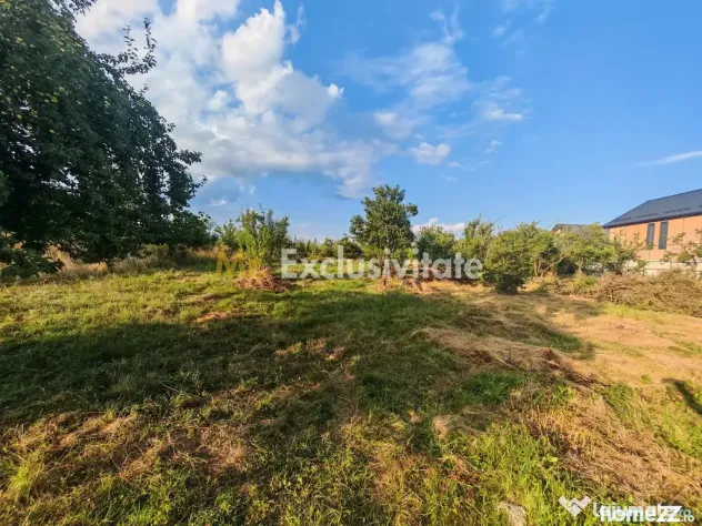 Teren intravilan 1.600 mp Mioveni – Zona Pruni - Mioveni (Arges)