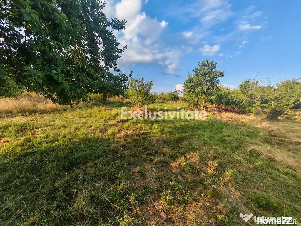Teren intravilan 1.600 mp Mioveni – Zona Pruni - Mioveni (Arges)