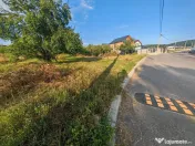 Teren intravilan 1.600 mp Mioveni – Zona Pruni 