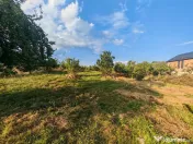 Teren intravilan 1.600 mp Mioveni – Zona Pruni 