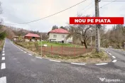 Casa la munte cu teren generos in Com. Nucsoara, loc. Sla... 