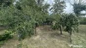 Casa traditionala+teren 1172mp intravilan in Lunca Corbul... 