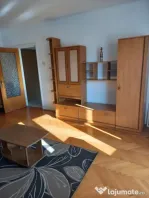 Apartament 2 camere decomandate Terezian (pet friendly)