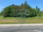 Teren Extravilan 3866 mp in Vama Buzaului la Strada Princ... 