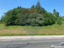 Teren Extravilan 4,306 mp in Vama Buzaului la Strada Prin...