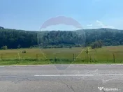 Teren Extravilan 3866 mp in Vama Buzaului la Strada Princ... 