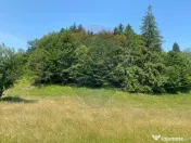 Teren Extravilan 3866 mp in Vama Buzaului la Strada Princ... 