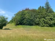 Teren Extravilan 3866 mp in Vama Buzaului la Strada Princ... 