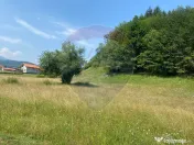 Teren Extravilan 3866 mp in Vama Buzaului la Strada Princ... 