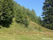 Teren Extravilan 3866 mp in Vama Buzaului la Strada Princ... 