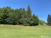 Teren Extravilan 3866 mp in Vama Buzaului la Strada Princ... 
